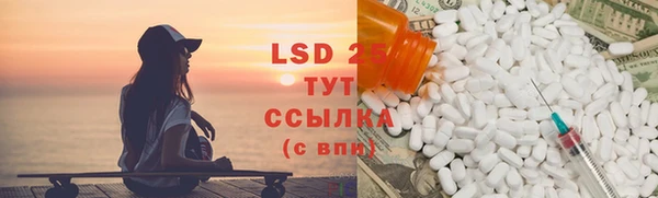 ГАЛЛЮЦИНОГЕННЫЕ ГРИБЫ Долгопрудный