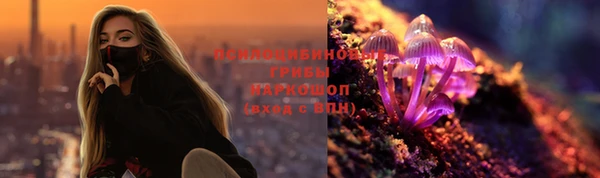 прущий лед Магас