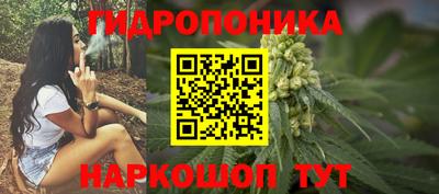 ГАЛЛЮЦИНОГЕННЫЕ ГРИБЫ Заводоуковск