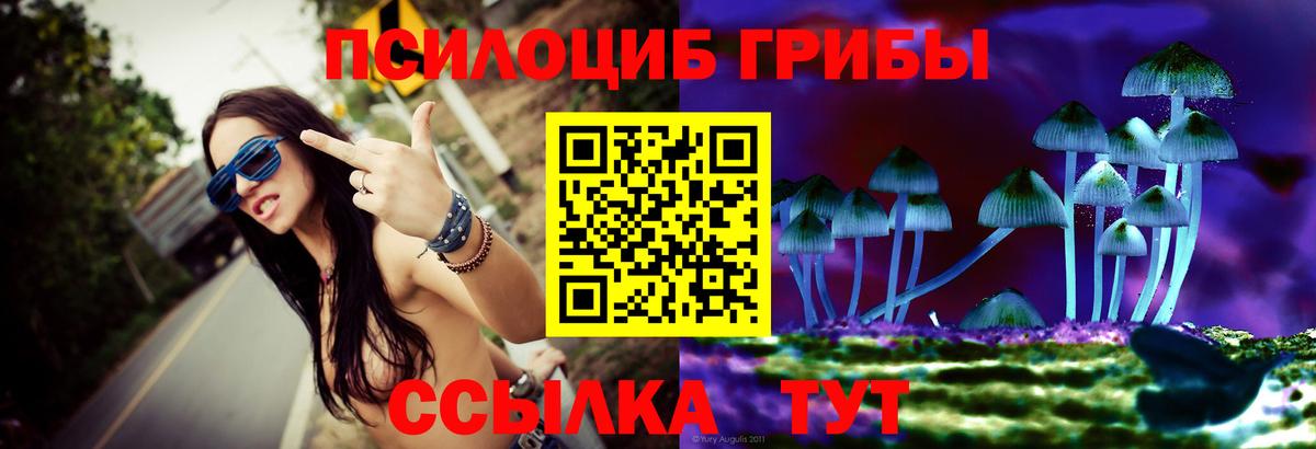 Галлюциногенные грибы мицелий Сорочинск